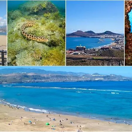 Appartement Canteras Sea